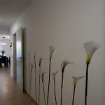 Huge Flat With Terrace & Parking And 3 Bed Rooms