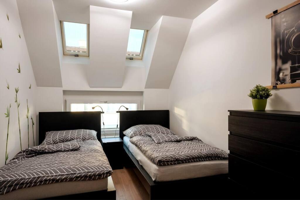 Huge Flat With Terrace & Parking And 3 Bed