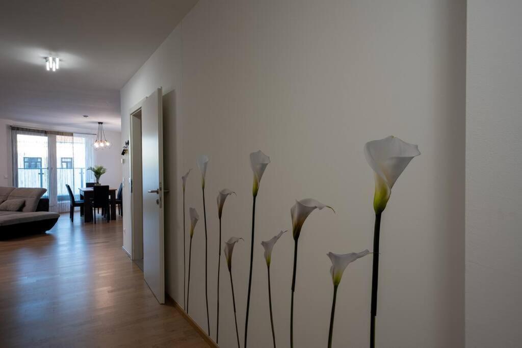 Huge Flat With Terrace & Parking And 3 Bed * Viena
