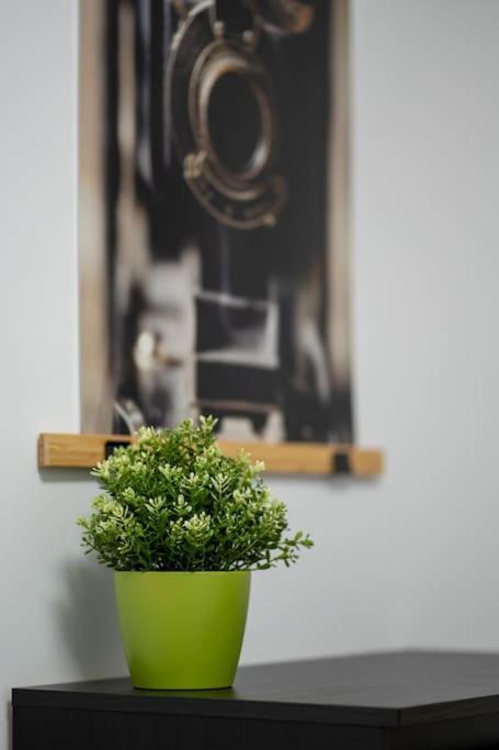 Appartement Huge Flat With Terrace & Parking And 3 Bed *